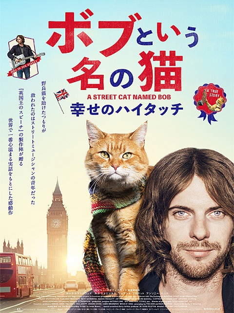 映画 ボブという名の猫 ネタバレあらすじ感想とラスト結末の解説 実話ノンフィクションを 実際の猫ボブ が演じる