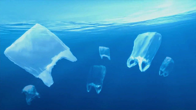 映画『プラスチックの海』感想レビューと考察解説。海洋環境問題の“原因と対策”をドキュメンタリーで描く